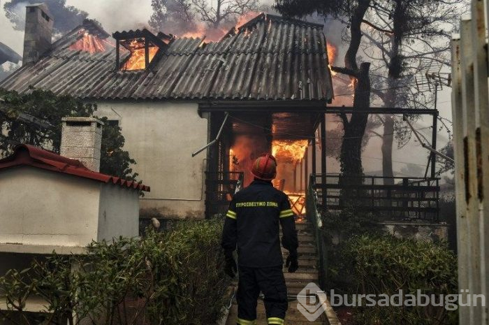 Yunanistan'daki orman yangınında ölü sayısı 77'ye yükseldi (180'i aşkın yaralı var)