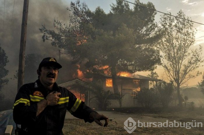 Yunanistan'daki orman yangınında ölü sayısı 77'ye yükseldi (180'i aşkın yaralı var)