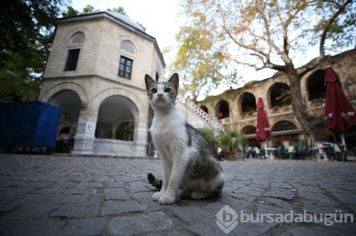 Kraliçe Elizabeth'in ziyaret ettiği Bursa Hanlar Bölgesi dünyayı ağırlıyor	