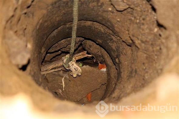 Zonguldak'ta sondaj kuyusuna düşen yavru köpek kurtarıldı
