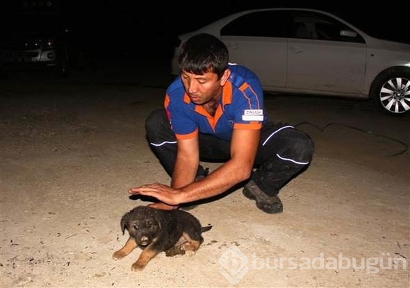 Zonguldak'ta sondaj kuyusuna düşen yavru köpek kurtarıldı
