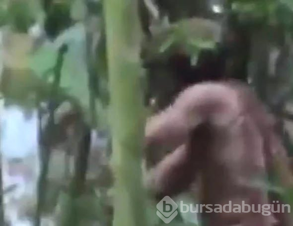 İşte dünyanın en 'yalnız' adamı! Böyle görüntülendi...
