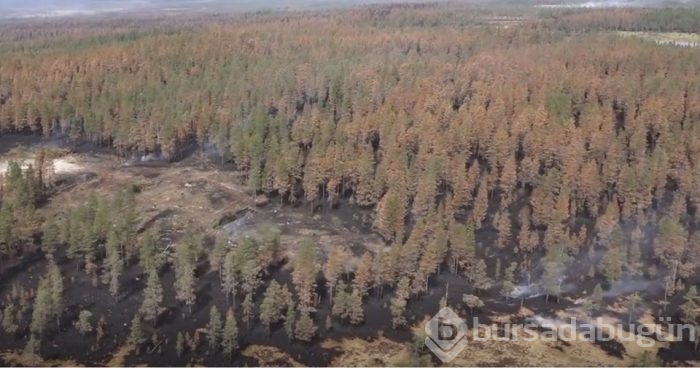 İsveç'te orman yangınına bombalı müdahale