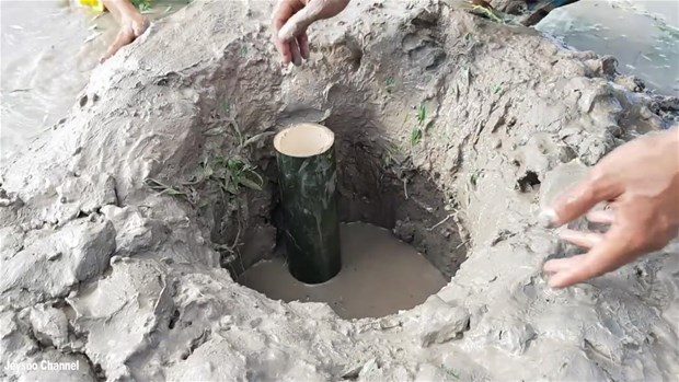 Şaşırtan balık avlama tekniği