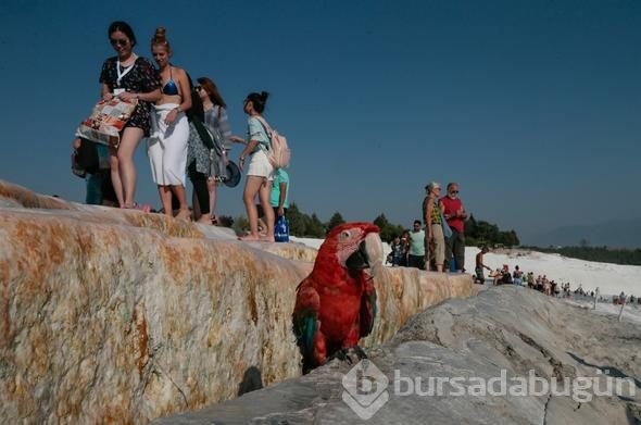 Pamukkale'deki "cehennem kapısı" ziyarete açılıyor
