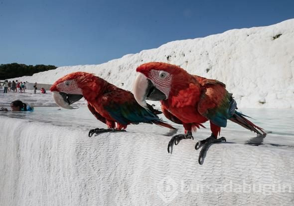 Pamukkale'deki "cehennem kapısı" ziyarete açılıyor
