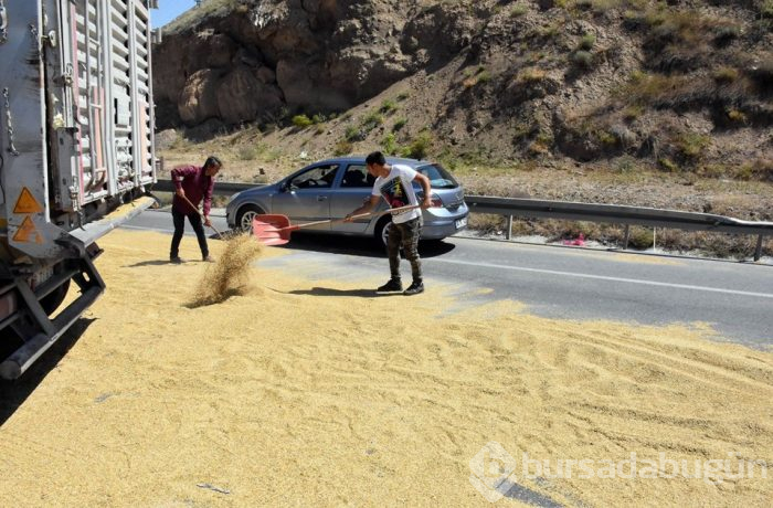 TIR devrildi; 6 ton arpa yola saçıldı
