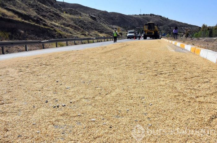 TIR devrildi; 6 ton arpa yola saçıldı