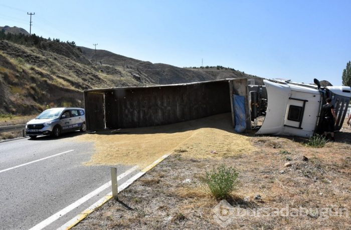 TIR devrildi; 6 ton arpa yola saçıldı