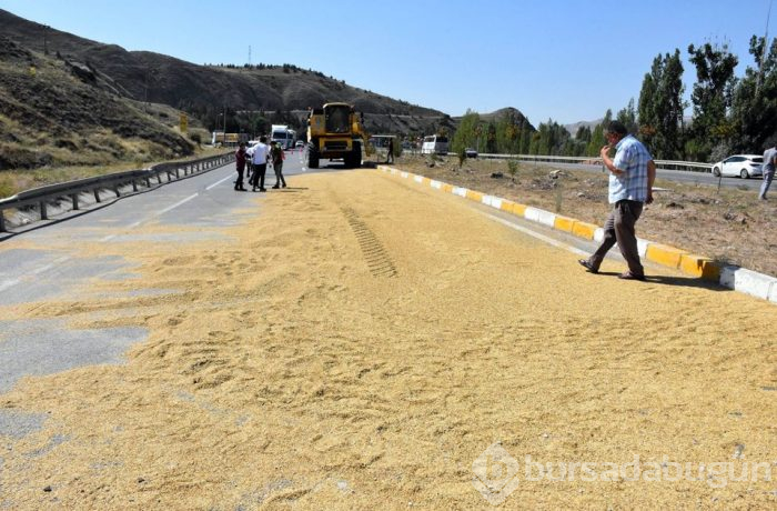 TIR devrildi; 6 ton arpa yola saçıldı