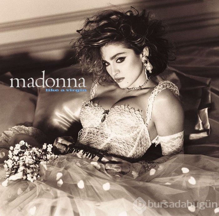 Madonna'yı taklit eden köpek