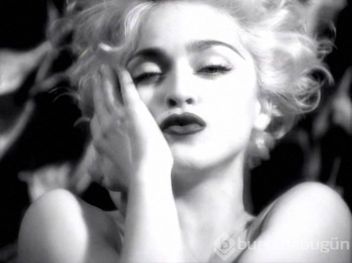 Madonna'yı taklit eden köpek