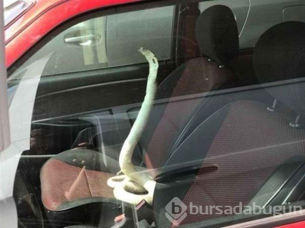 Dünyanın en korkunç anları