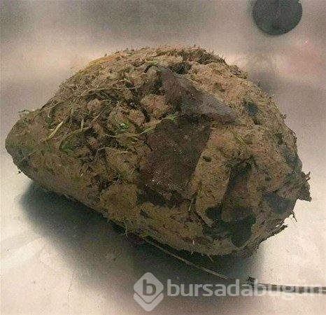 Çıkanlar şok etti