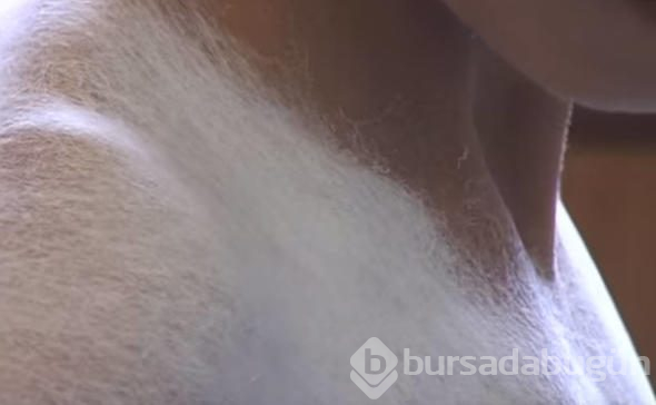 Önce soyunuyorlar, sonra sprey onları bakın nasıl değiştiriyor?
