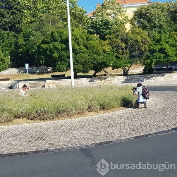 Instagram için şekilden şekile girdiler