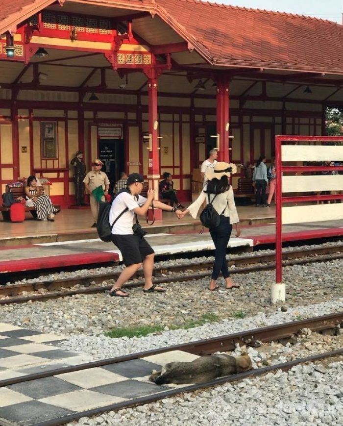 Instagram için şekilden şekile girdiler