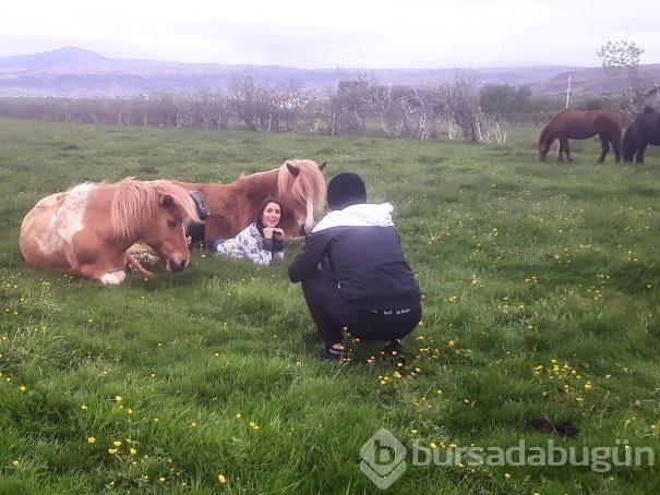 Instagram için şekilden şekile girdiler