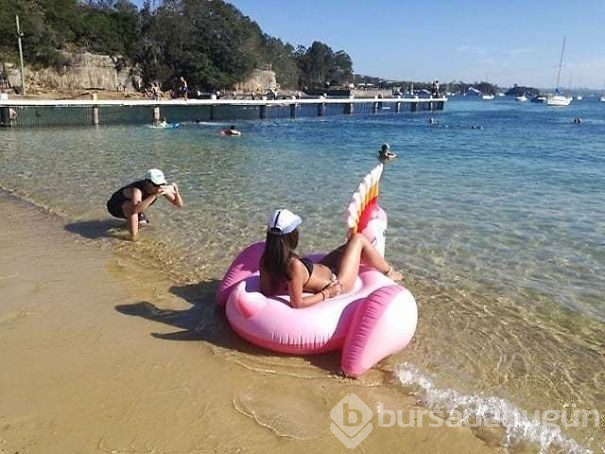 Instagram için şekilden şekile girdiler