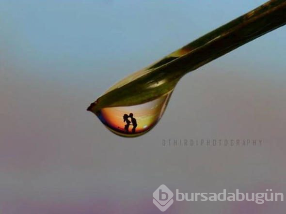 Dünyayı bu görüntülerle 'kandırıyorlar'
