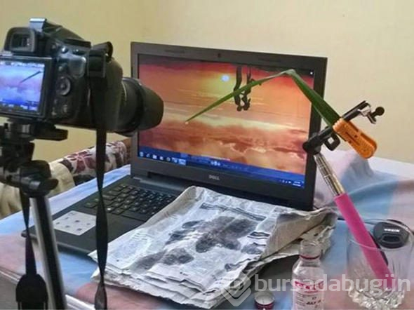 Dünyayı bu görüntülerle 'kandırıyorlar'
