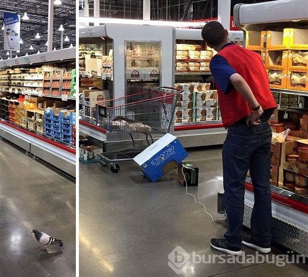 Sıra dışı alışveriş manzaraları