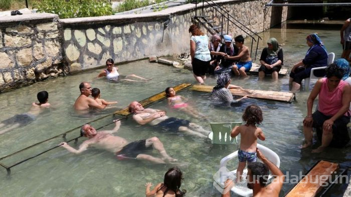 Sivas'taki Kangal Kaplıcası'nın doktor balıklarına yoğun talep var