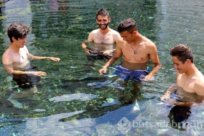 Sivas'taki Kangal Kaplıcası'nın doktor balıklarına yoğun talep var