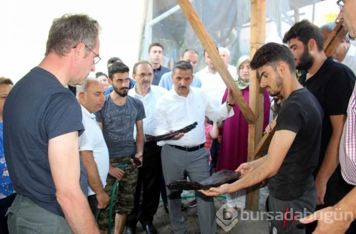 Samsun'da tarihi kazıda 3 bin yıllık fındık bulundu