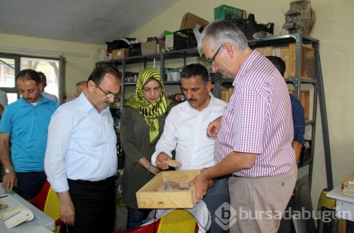 Samsun'da tarihi kazıda 3 bin yıllık fındık bulundu