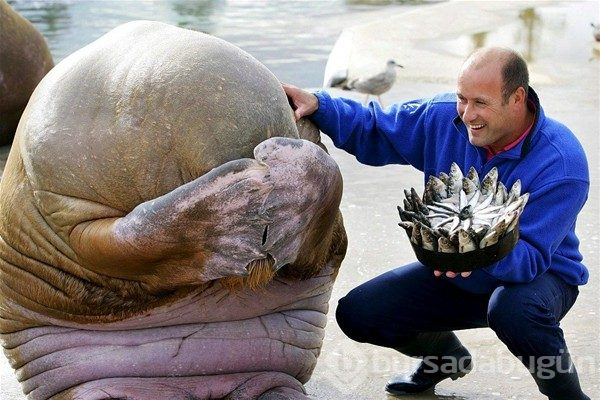 Günün en çılgın 20 fotoğrafı