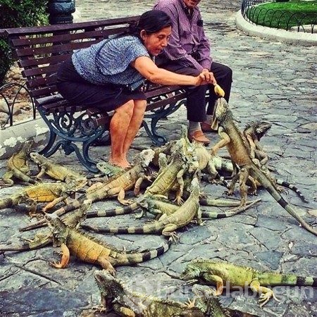 Günün en çılgın 20 fotoğrafı