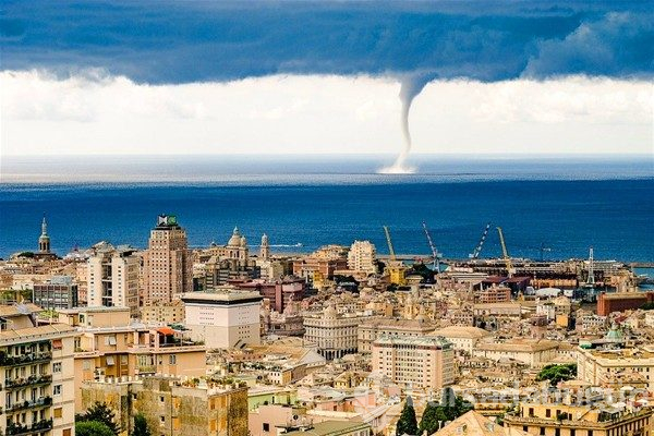 Günün en çılgın 20 fotoğrafı