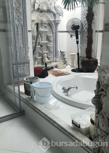 Kediciklerin odası ilk kez görüntülendi