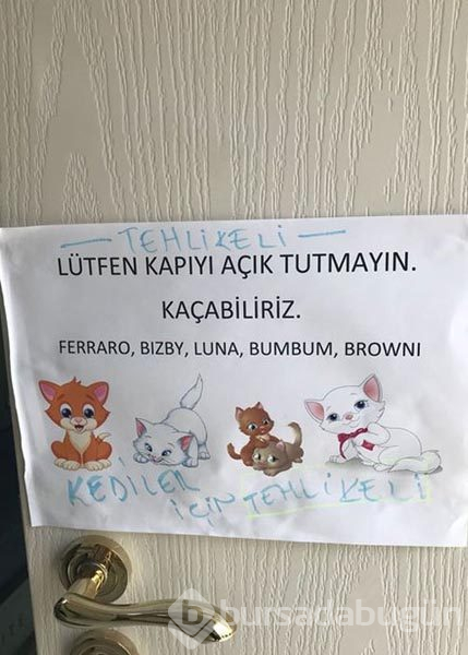 Kediciklerin odası ilk kez görüntülendi