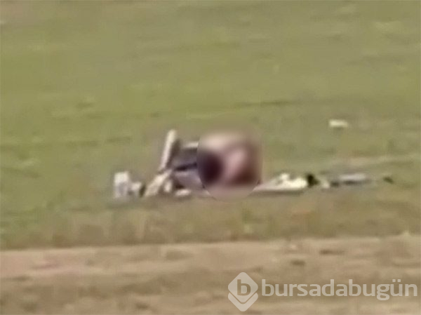 Parkta ilişkiye girdiler!
