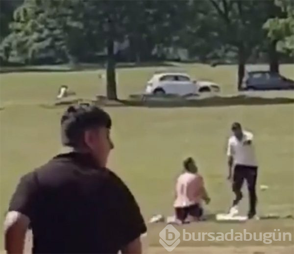 Parkta ilişkiye girdiler!
