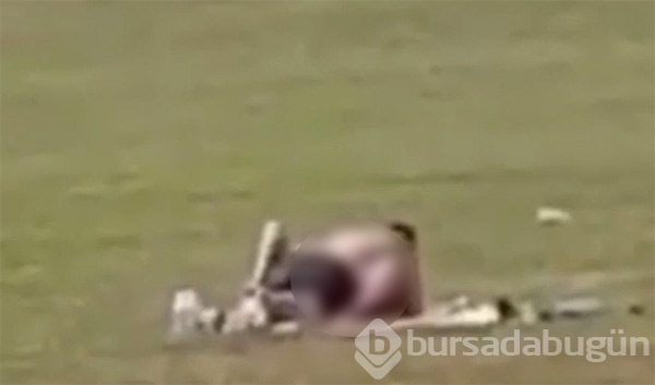 Parkta ilişkiye girdiler!
