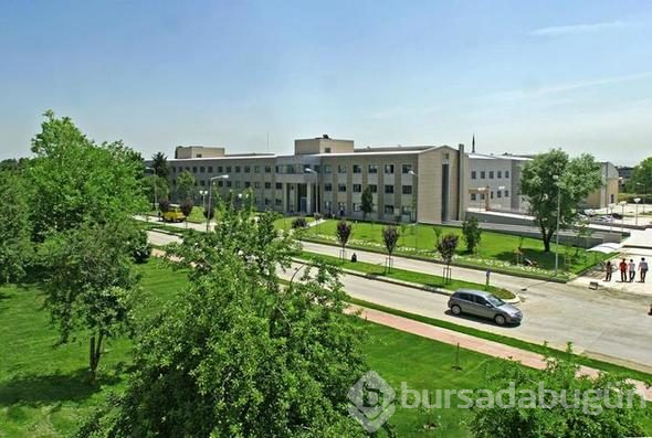 Dünyanın ve Türkiye'nin en iyi üniversiteleri belli oldu!