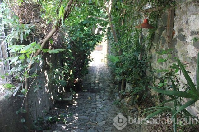 İstanbul'da cennet sokak