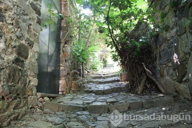 İstanbul'da cennet sokak