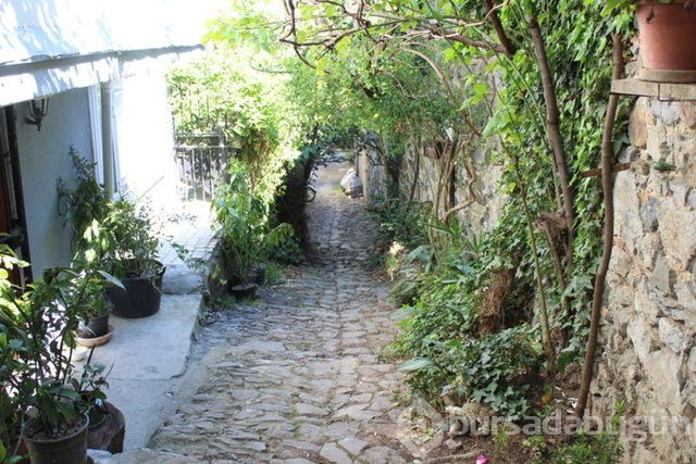 İstanbul'da cennet sokak