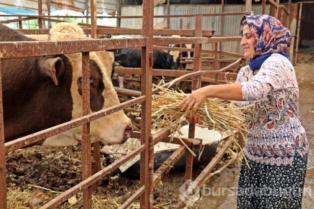 4 bilezikle başladı, servet sahibi oldu!
