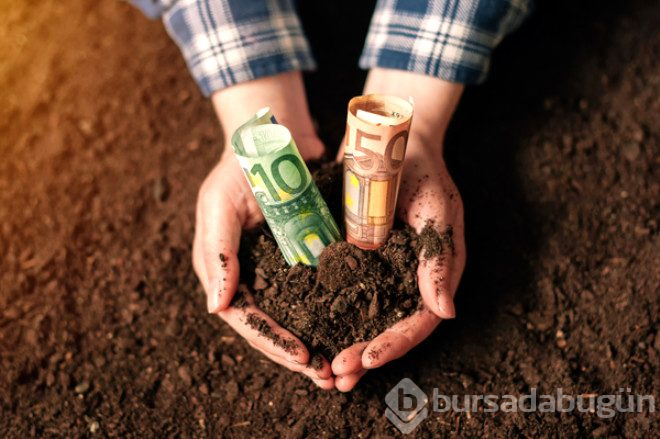 Dolar ve euro neye göre yükselir? Neye göre düşer?