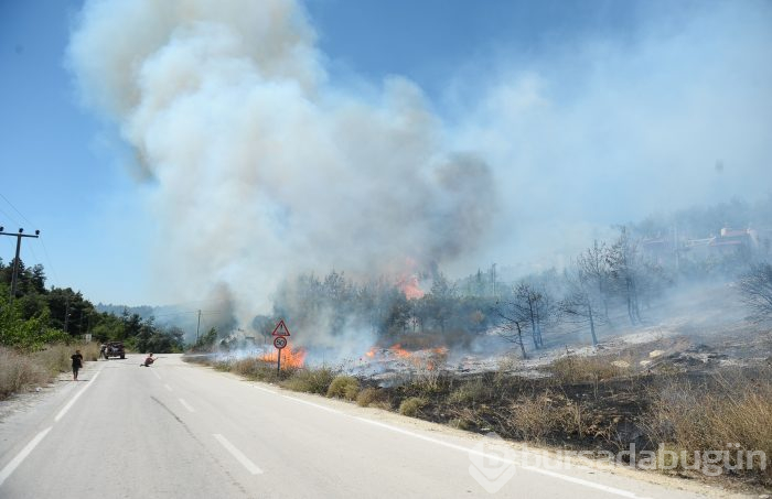 Bursa Mudanya'da orman yangını	