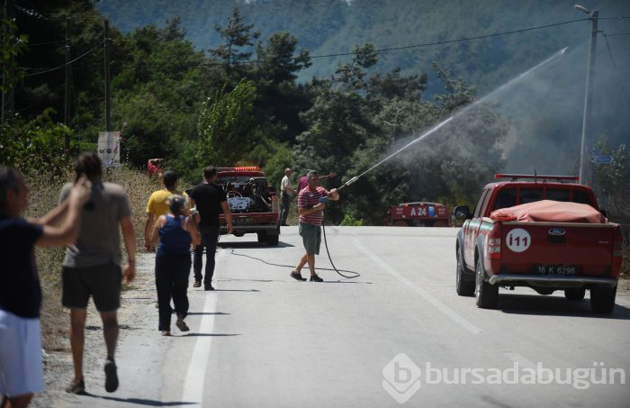 Bursa Mudanya'da orman yangını	