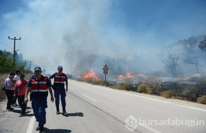 Bursa Mudanya'da orman yangını	