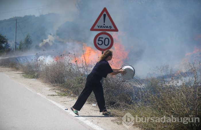 Bursa Mudanya'da orman yangını	