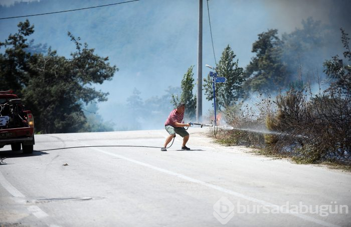Bursa Mudanya'da orman yangını	