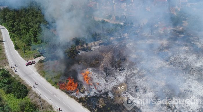 Bursa Mudanya'da orman yangını	
